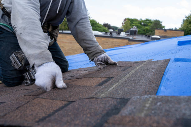 Best Storm Damage Roof Repair  in Metuchen, NJ